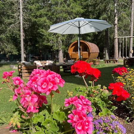 Wildhomes Wild Wolf Lodge Courmayeur Bagian luar foto