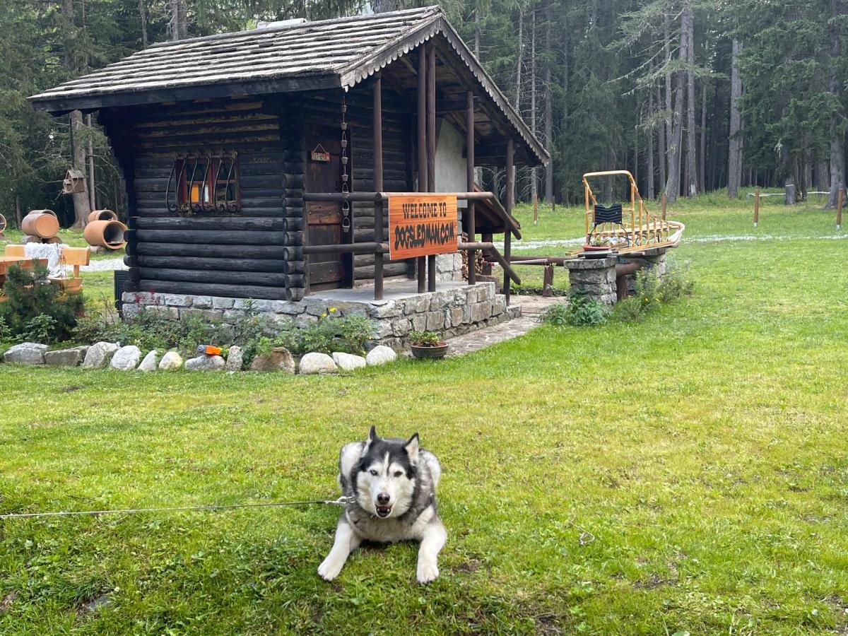 Wildhomes Wild Wolf Lodge Courmayeur Bagian luar foto