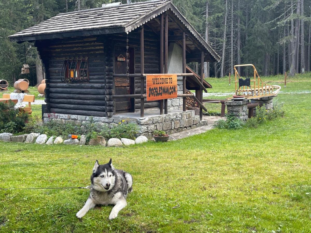 Wildhomes Wild Wolf Lodge Courmayeur Bagian luar foto