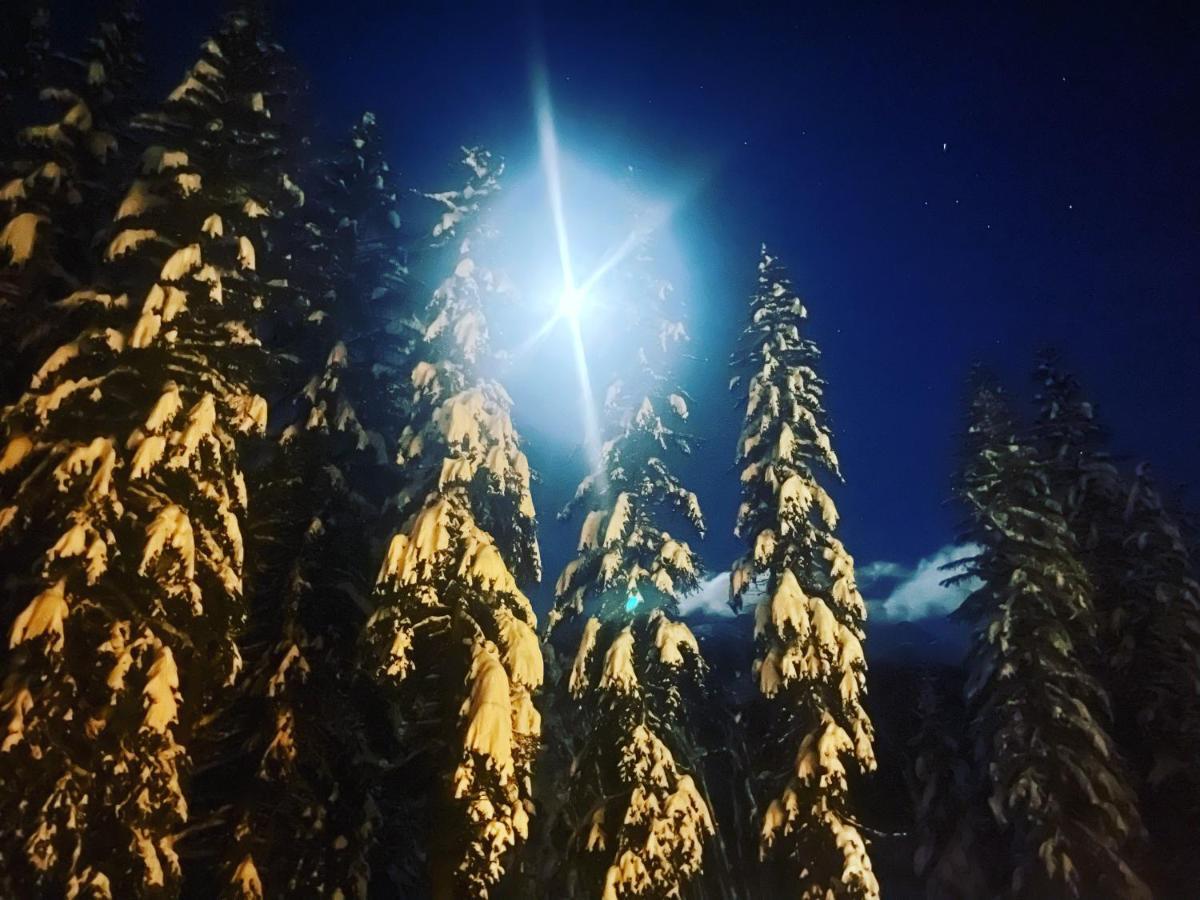 Wildhomes Wild Wolf Lodge Courmayeur Bagian luar foto