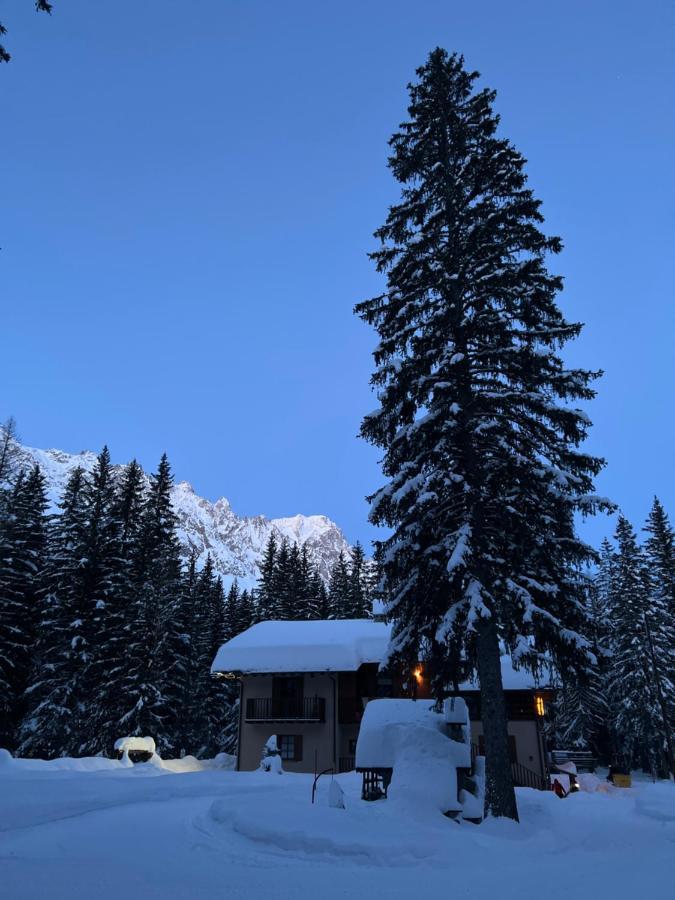 Wildhomes Wild Wolf Lodge Courmayeur Bagian luar foto