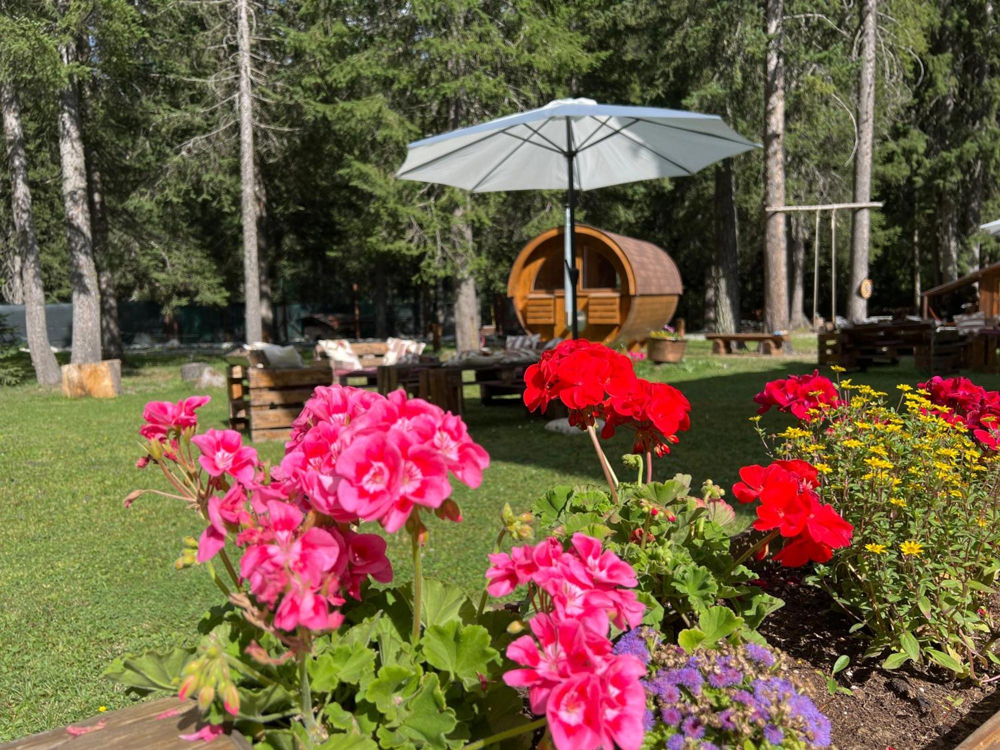 Wildhomes Wild Wolf Lodge Courmayeur Bagian luar foto