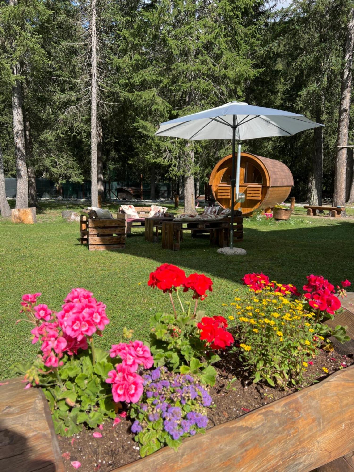 Wildhomes Wild Wolf Lodge Courmayeur Bagian luar foto